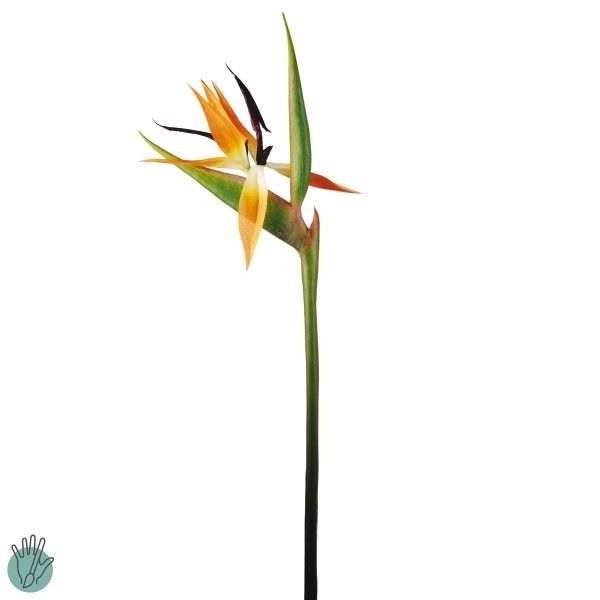 Искусственный цветок Стрелиция BIRD OF PARADISE, 91 см., Sia