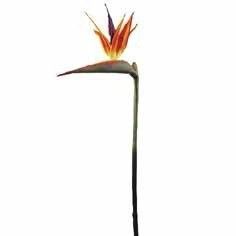Искусственный цветок Стрелиция BIRD OF PARADISE, 100 см., Sia