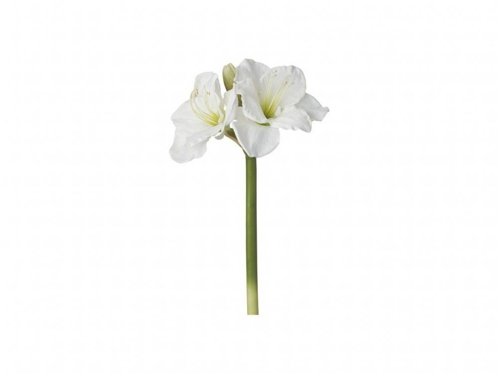 Искусственный цветок Амариллис 46 см., AMARYLLIS, Sia, 018106