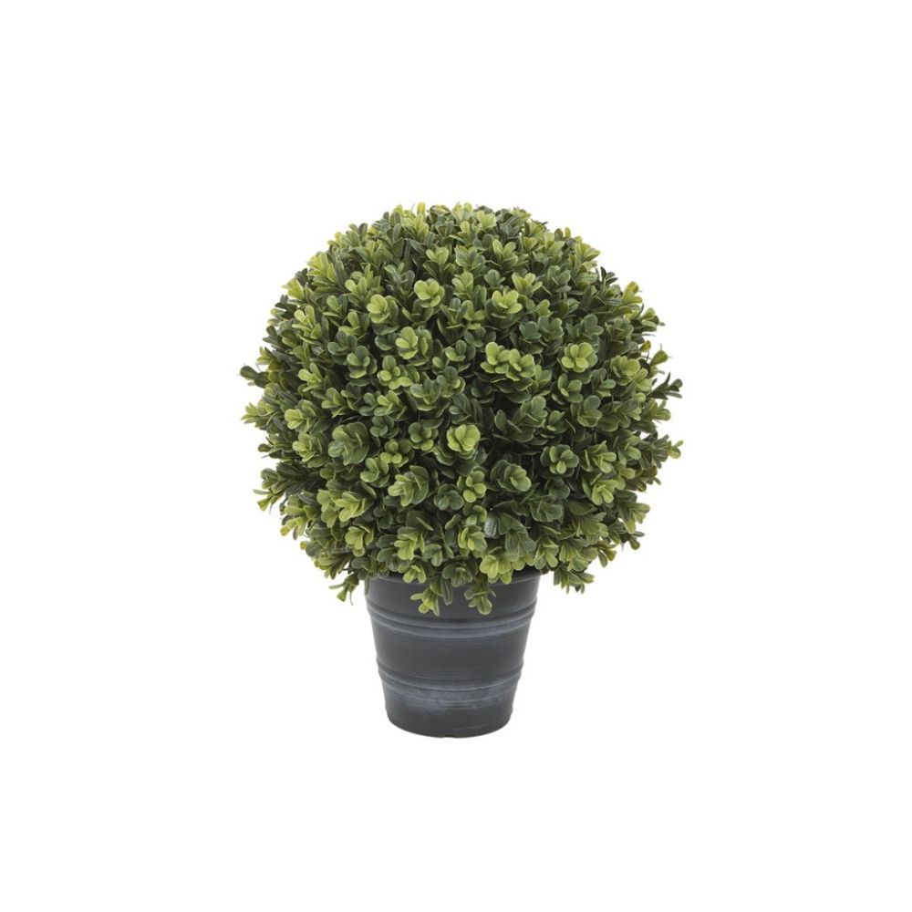BOXWOOD TOPIARY IN POT H43 GN
